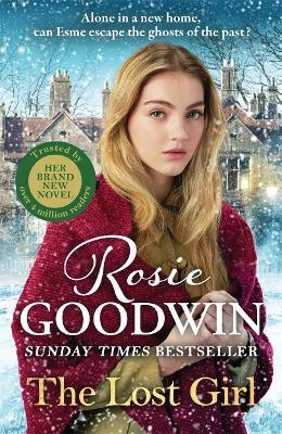 The Lost Girl - Rosie Goodwin