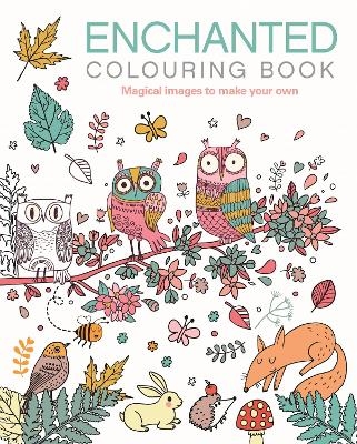 The Enchanted Colouring Book -  Arcturus Publishing