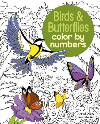 Birds & Butterflies Color by Numbers - Sara Storino, Illustrator Arpad Olbey