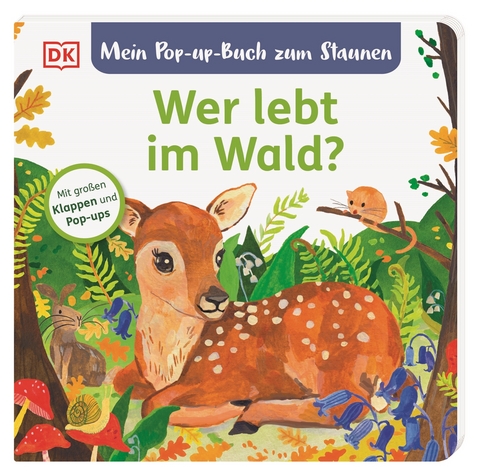 Mein Pop-up-Buch zum Staunen. Wer lebt im Wald? - Sandra Grimm