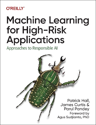 Machine Learning for High-Risk Applications - Patrick Hall, James Curtis, Parul Pandey
