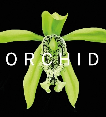 ORCHID - David A. Berry