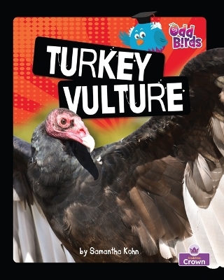 Turkey Vulture - Samantha Kohn