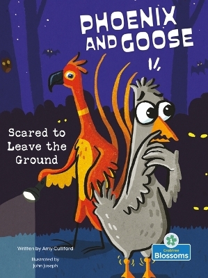 Scared to Leave the Ground - Amy Culliford