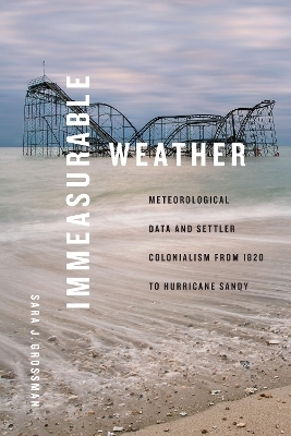 Immeasurable Weather - Sara J. Grossman