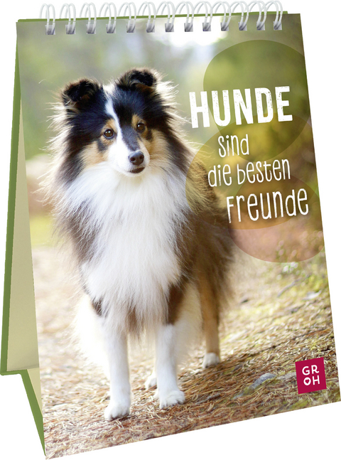 Hunde sind die besten Freunde - 