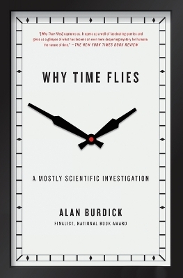 Why Time Flies - Alan Burdick