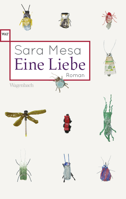 Eine Liebe - Sara Mesa