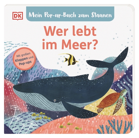 Mein Pop-up-Buch zum Staunen. Wer lebt im Meer? - Sandra Grimm