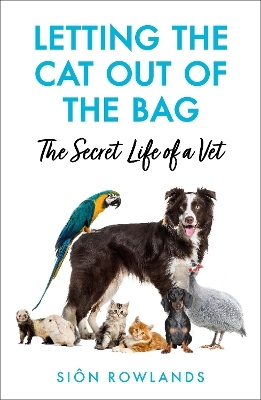 Letting the Cat Out of the Bag - Siôn Rowlands