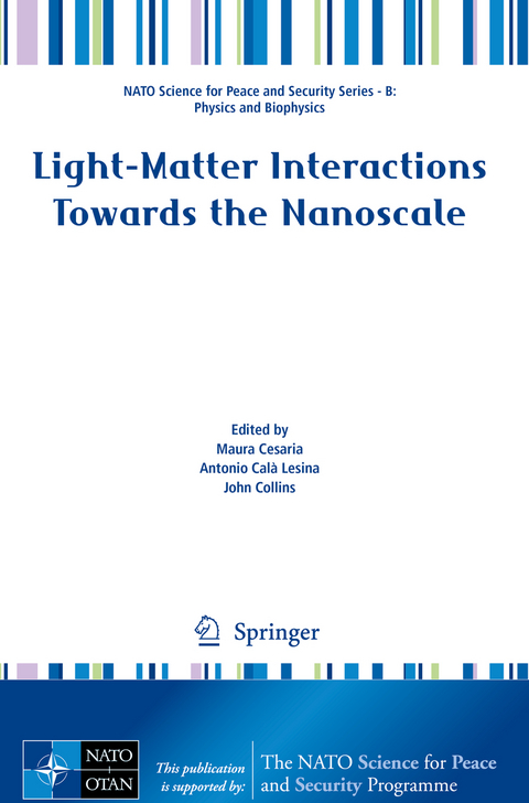 Light-Matter Interactions Towards the Nanoscale - 