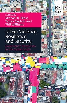 Urban Violence, Resilience and Security - 