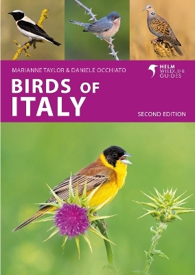 Birds of Italy - Daniele Occhiato, Marianne Taylor