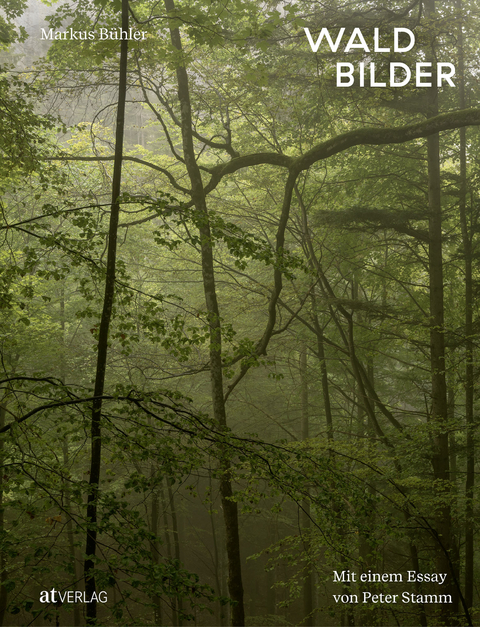 Waldbilder - Markus Bühler