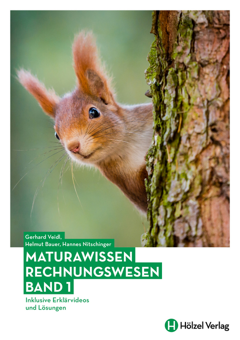 Maturawissen / Rechnungswesen Band 1 - Helmut Bauer, Gerhard Veidl, Hannes Nitschinger