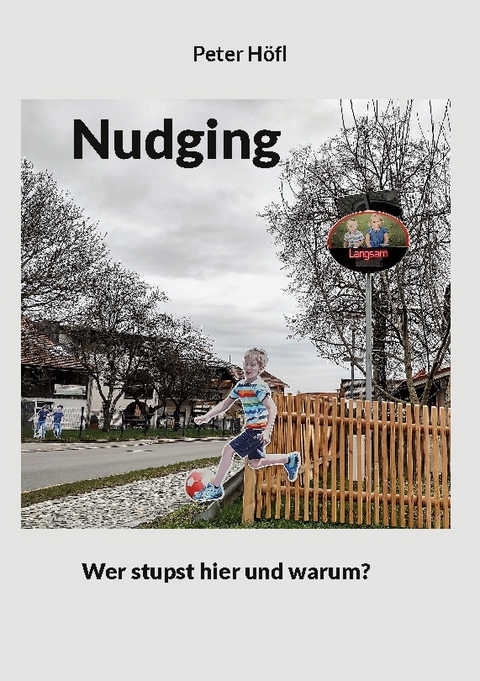 Nudging - Peter Höfl