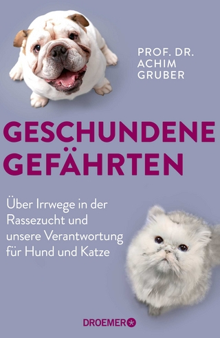 Geschundene Gefährten - Achim Gruber