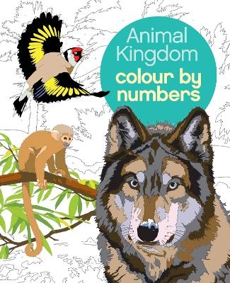 Animal Kingdom Colour by Numbers - Martin Sanders, Arpad Olbey