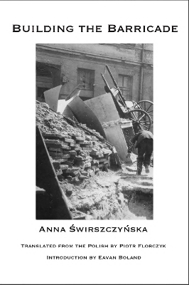 Building the Barricade - Anna wirszczyska