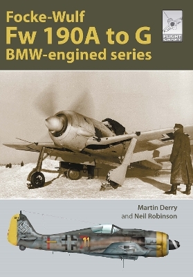 Flight Craft Special 2: The Focke-Wulf Fw 190 - Martin Derry, Neil Robinson