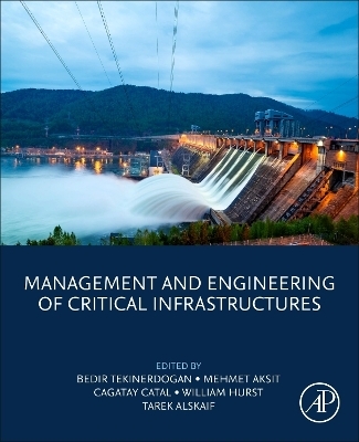 Management and Engineering of Critical Infrastructures - 