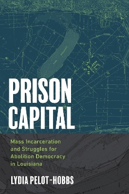 Prison Capital - Lydia Pelot-Hobbs