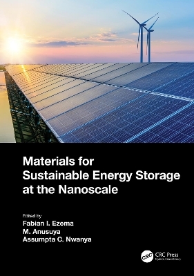 Materials for Sustainable Energy Storage at the Nanoscale - 