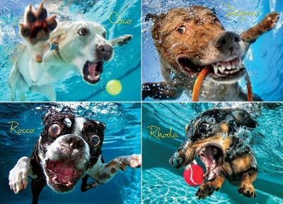 Underwater Dogs: Pool Pawty Jigsaw -  Casteel Seth