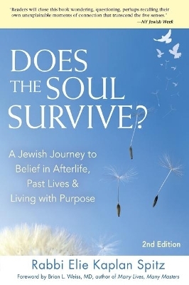 Does the Soul Survive? - Elie Kaplan Spitz