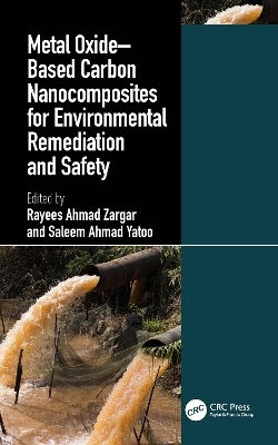 Metal Oxide–Based Carbon Nanocomposites for Environmental Remediation and Safety - 