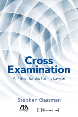 Cross Examination - Stephen Gassman