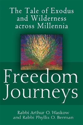 Freedom Journeys - Rabbi Arthur O. Waskow, Rabbi Phyllis O. Berman