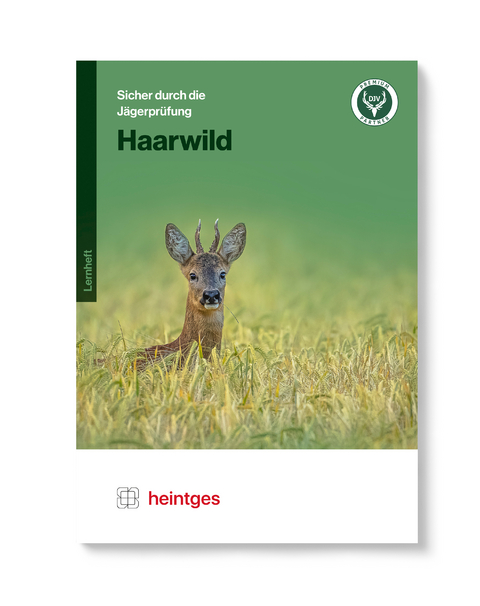 Haarwild - 