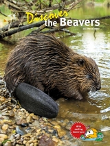 Discover the Beavers - Uli Messlinger