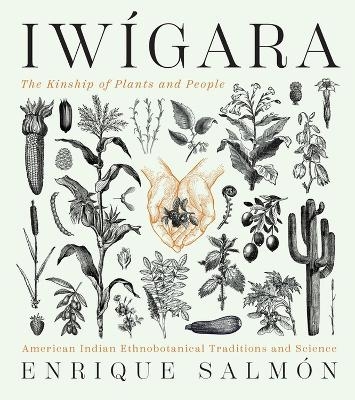 Iwígara - Enrique Salmón