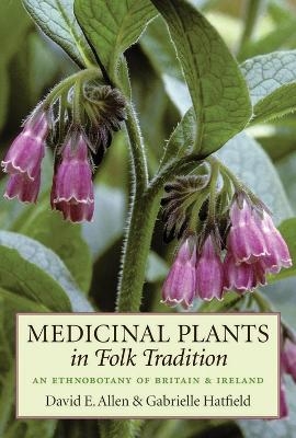 Medicinal Plants in Folk Tradition - David Allen, Gabrielle Hatfield