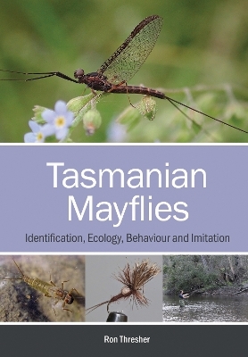 Tasmanian Mayflies - Ron Thresher