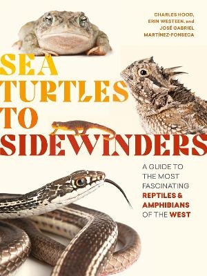 Sea Turtles to Sidewinders - Charles Hood, Erin Westeen, Jose Gabriel Martinez-Fonseca