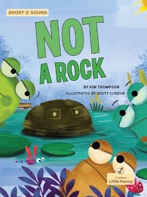 Not a Rock - Kim Thompson