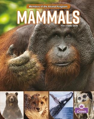 Mammals - Tracy Vonder Brink