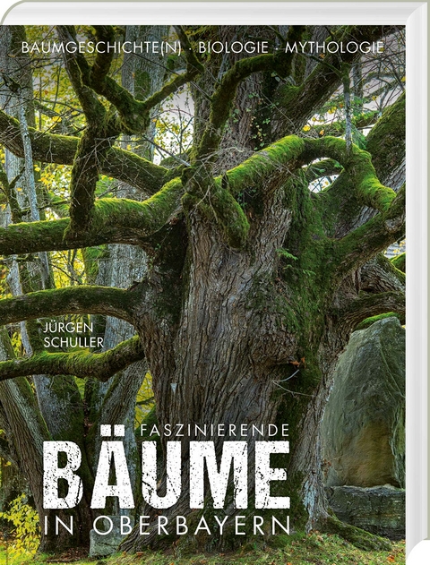 Faszinierende Bäume in Oberbayern - Jürgen Schuller
