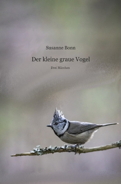 Der kleine graue Vogel - Susanne Bonn