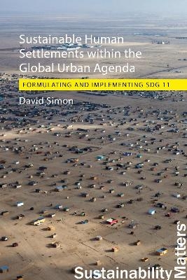 Sustainable Human Settlements within the Global Urban Agenda - Professor David Simon