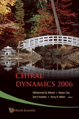 CHIRAL DYNAMICS 2006 - 