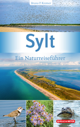 Sylt - Bruno P. Kremer