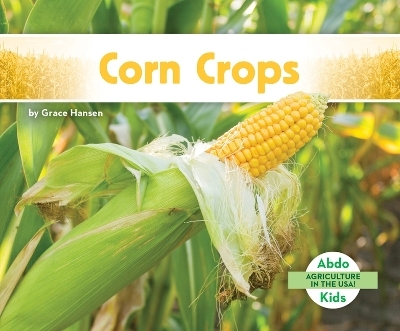 Corn Crops - Grace Hansen