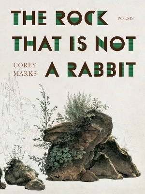 The Rock That is Not a Rabbit - Corey Marks