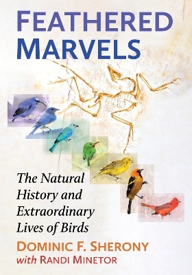Feathered Marvels - Dominic F. Sherony, Randi Minetor