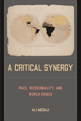 A Critical Synergy - Ali Meghji