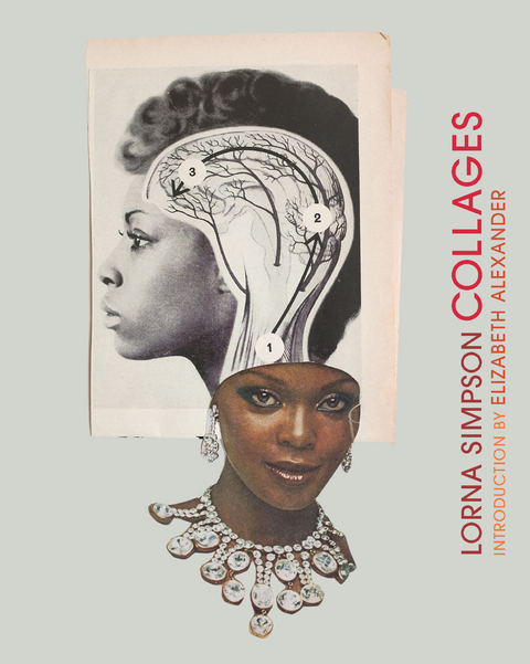 Lorna Simpson Collages - Lorna Simpson